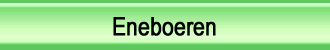 Eneboeren